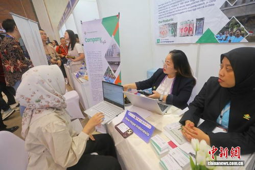 东西问 | 陈玉兰 华文教育如何在印尼开创新局？